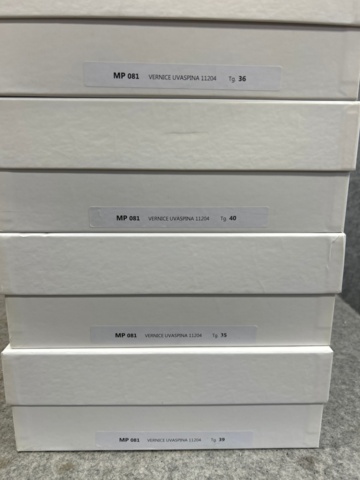 988763-5 Women's shoes 35-40 - Marco Proietti Design approx. 17 pairs