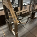 1269724-2 Biceps curls - Nautilus Nitro Preacher Curl