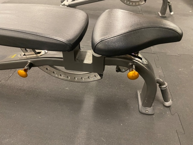 Exercise bench Motion & Fitness Pro - PS Auction - We value the future ...