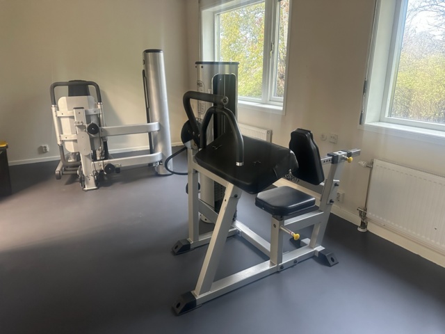 1137669-2 Star Track Gym equipment 3 pcs