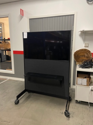 1048253-1 Monitor 55" - Sony 55BZ35F