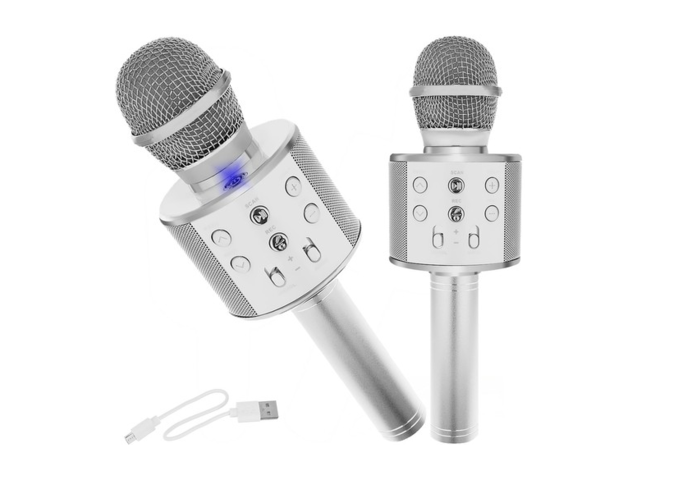 1301053-1 2 Karaoke microphones with speakers