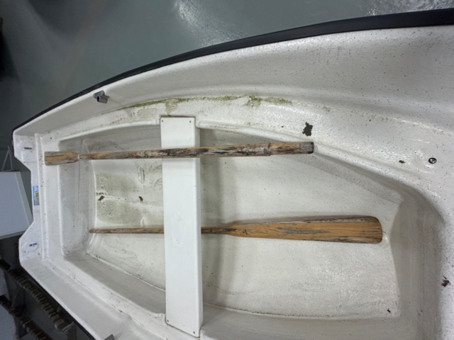 1289878-5 Rowing boat Cremo 385R