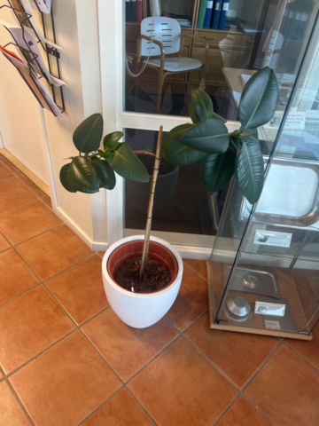 1278105-5 Samling med diverse möbler, inredning och köksgeråd