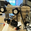 1309147-7 Olympus SZ40, SZ-STB1, SZ-STU1 Stereo Microscope (12)