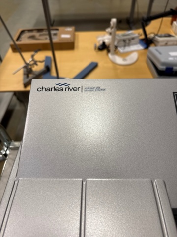 1324623-2 ELx808 Absorbance Microplate Reader from BioTek (Charles River).
