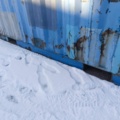 1289372-6 Container 20-Fot med innehåll