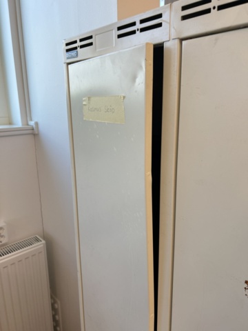 1286656-9 Changing room - Sono