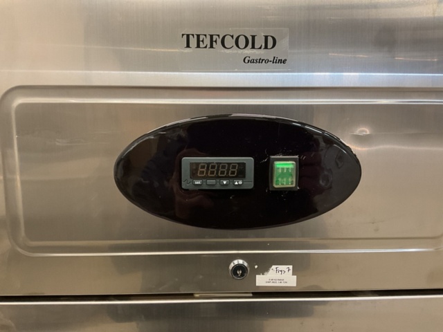 1198306-4 Tefcold freezer