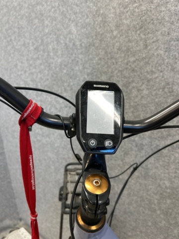 1339402-6 Electric bike - DeGaVi