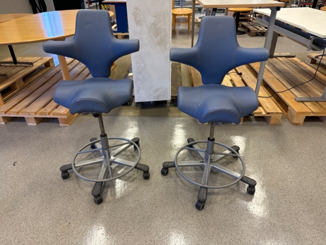 1344829-1 Håg Capisco laboratory chairs, 2 pcs