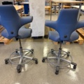 1344829-2 Håg Capisco laboratory chairs, 2 pcs