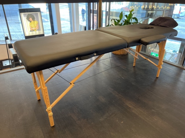 1303620-3 Treatment bed