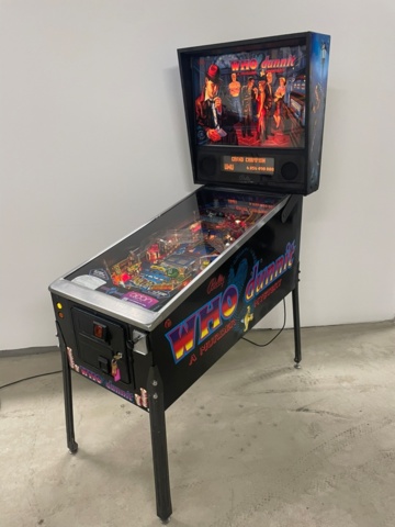 1343548-1 Pinball – Bally Who Dunnit