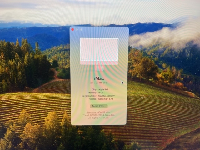 1325639-6 iMac 24" M1/8GB -2021
