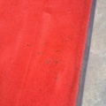 1269289-1 Red carpet, 580x250 cm