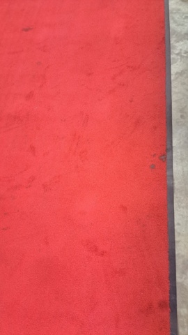 1269289-4 Red carpet, 580x250 cm