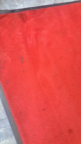 1269289-5 Red carpet, 580x250 cm