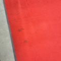 1269289-6 Red carpet, 580x250 cm