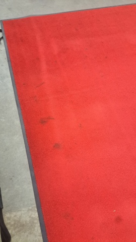 1269289-6 Red carpet, 580x250 cm