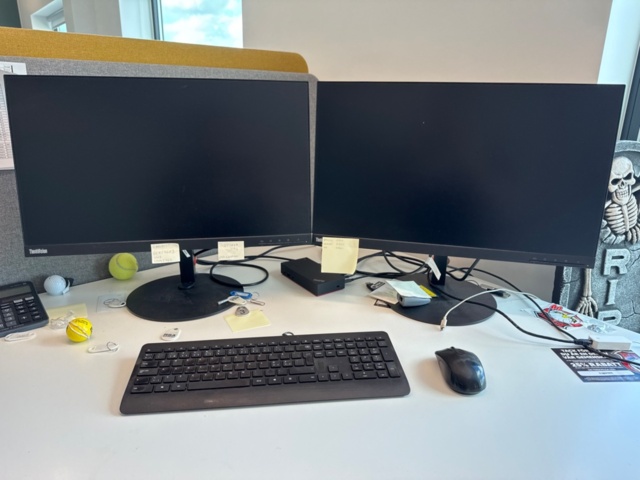 1354683-1 2 monitors, keyboard, mouse and docking station