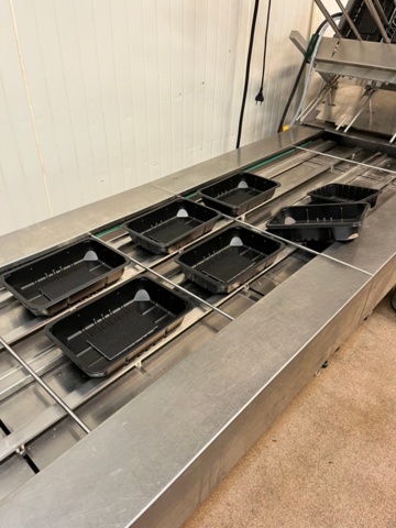 1314953-8 Packaging machine Tecnovac