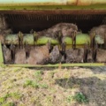 1331323-31 Combine harvester Claas Mercator 75 Repair item