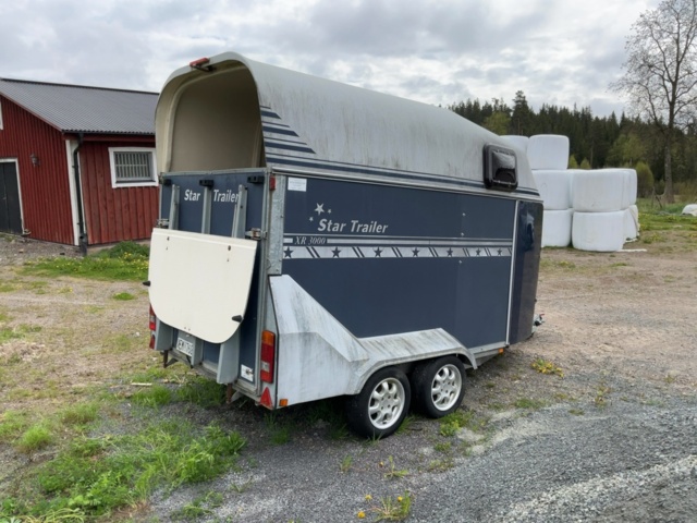 1198479-7 Horse transport Star Trailer XR 3000