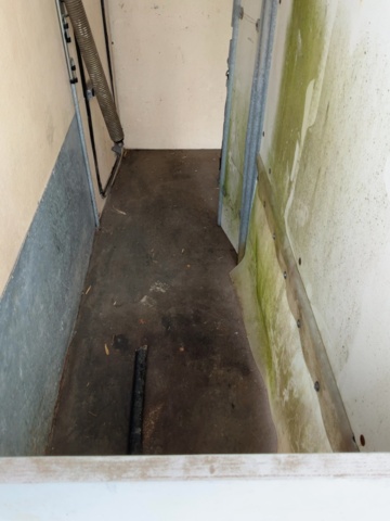 1198479-13 Horse transport Star Trailer XR 3000