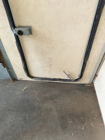 1198479-17 Horse transport Star Trailer XR 3000