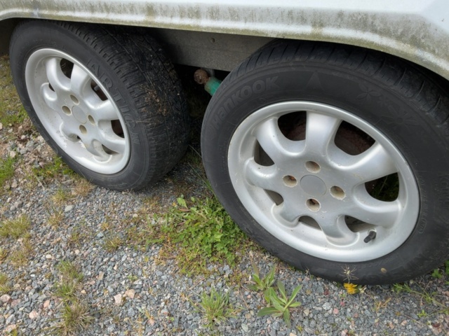 1198479-18 Horse transport Star Trailer XR 3000