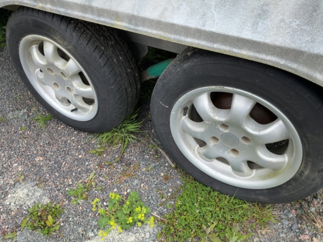 1198479-19 Horse transport Star Trailer XR 3000