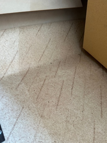 1373981-13 Caravan CABBY 580 -1992