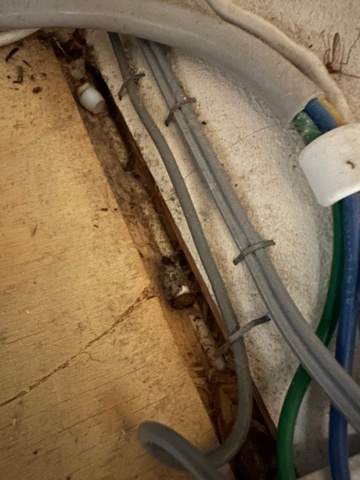 1373981-14 Caravan CABBY 580 -1992