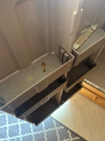 1373981-21 Caravan CABBY 580 -1992