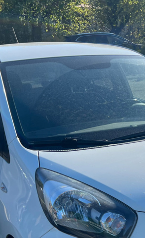 1354805-17 Kia Picanto 5-door 1.0 MPI Manual, 67hp, 2016