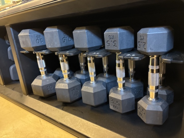 1303848-4 Sit-up bench with weight rack and dumbbells - Technogym