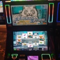 1380701-1 Slot machine IGT Universal – Siberian storm (2013)