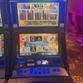 1380704-1 Slot machine IGT Universal – Cats (2012)