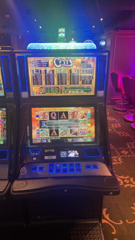 1380704-1 Slot machine IGT Universal – Cats (2012)