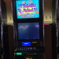 1380707-1 Slot machine IGT Trimline – Totally puzzled (2008)