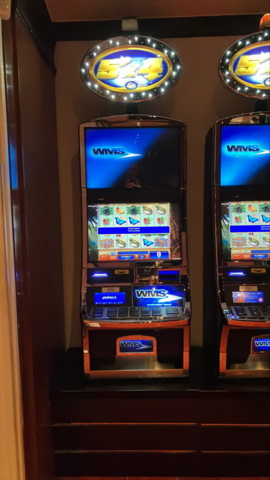 1380755-1 Slot machine WMS Blue bird 2 – Gorilla chief (2010)