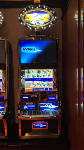 1380756-1 Slot machine WMS Blue bird 2 – Gorilla chief (2010)