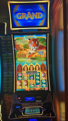 1380722-1 Slot machine IGT Crystal curve – Ocean magic grand (2018)