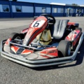 1392021-11 Gokart Dino Honda GX270 270cc