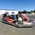 1392022-9 Gokart Dino Honda GX270 270cc