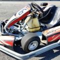 1392022-12 Gokart Dino Honda GX270 270cc