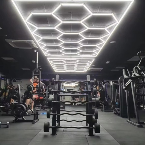 1393266-5 Ceiling light LED Hexagon 4840x2430 mm - Free shipping