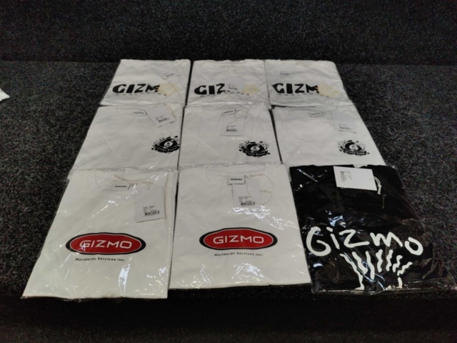 1392968-1 9 st T-shirts Gizmo, Strl L