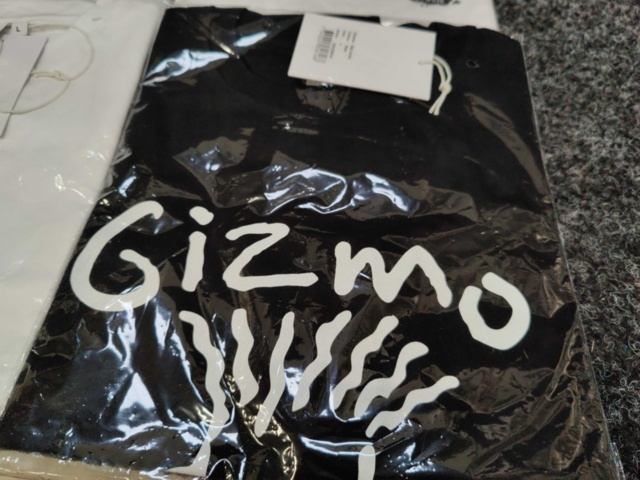 1392968-4 9 st T-shirts Gizmo, Strl L